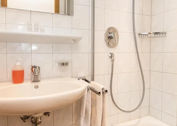 بيت ضيافة Gaestehaus Maxheim 3*